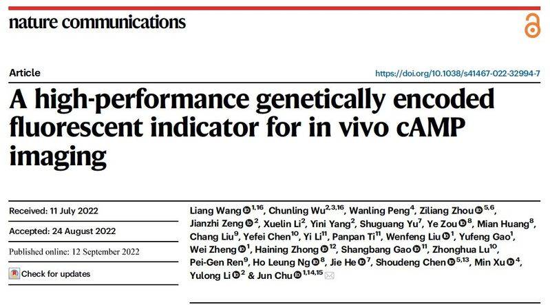 荧光探针识别机理