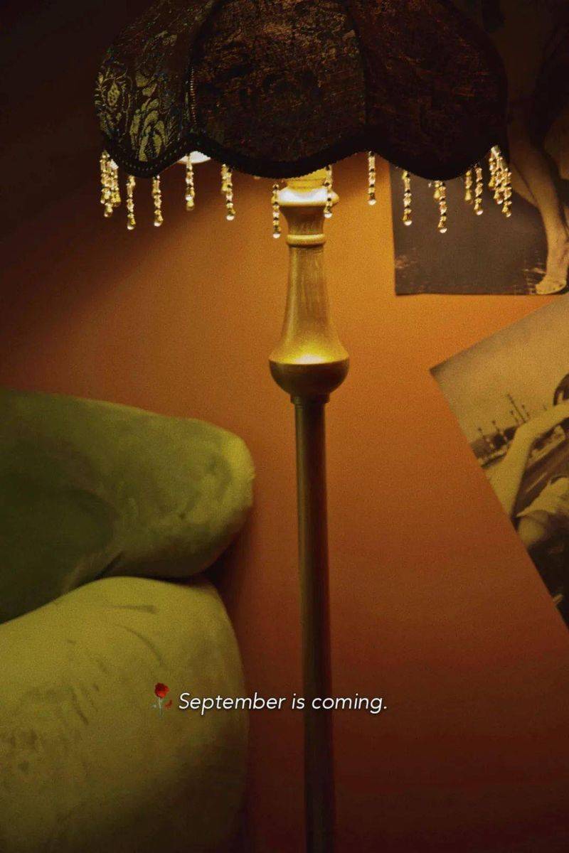 右视觉摄影写真多少钱