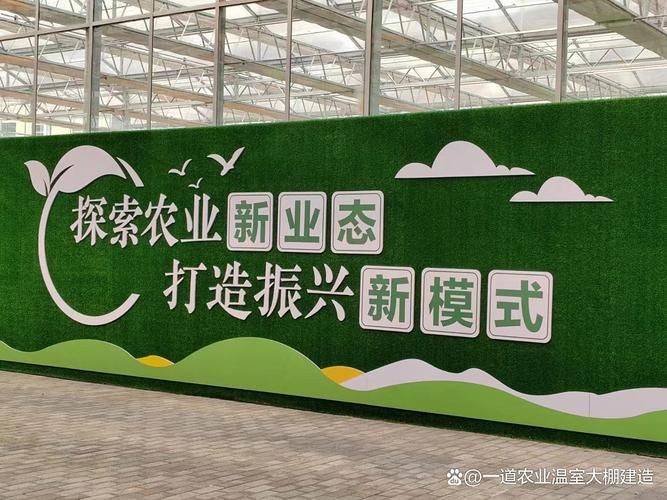 无架豇豆种植技术