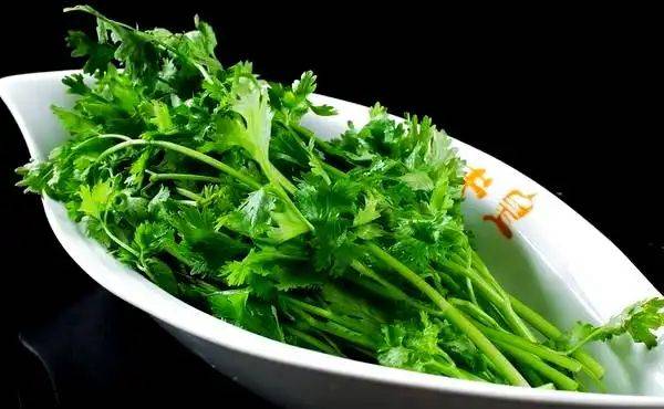 大棚香菜种植方法视频