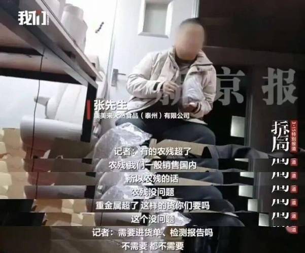 盆栽草莓种植技术视频