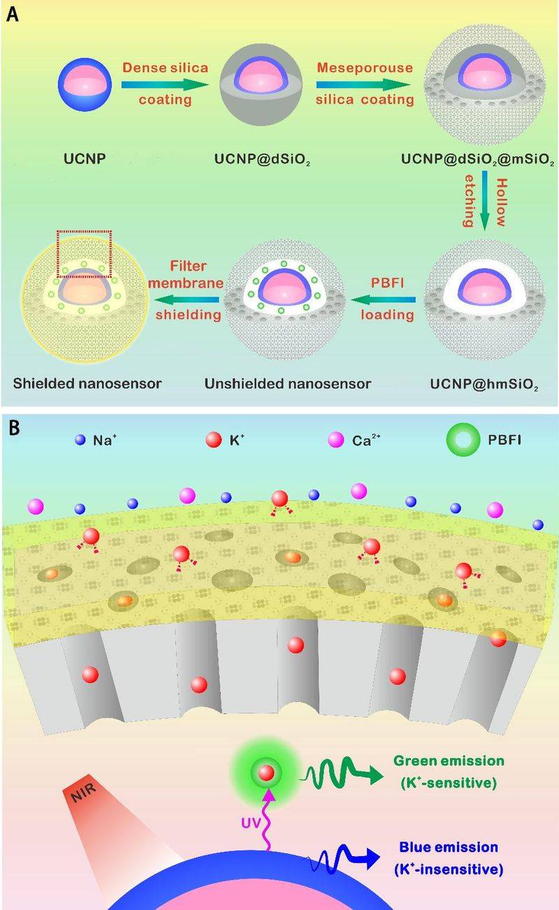 荧光探针识别机理