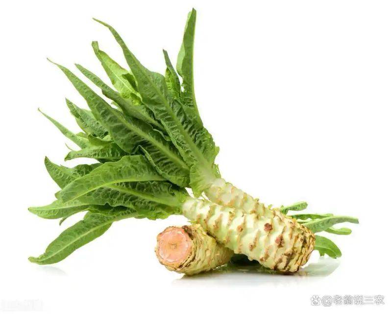 Plantation techniques