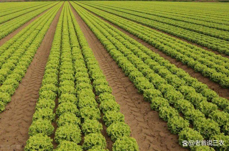 Plantation techniques