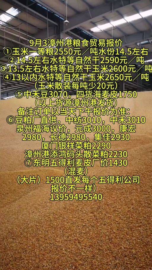 玉米多少钱一斤