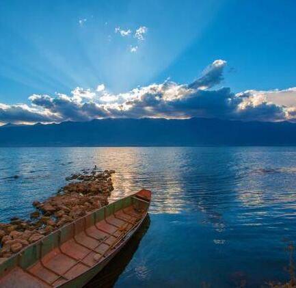 “支部有作为、集体增收入、群众得实惠”，双江乡村振兴找到“好门路”