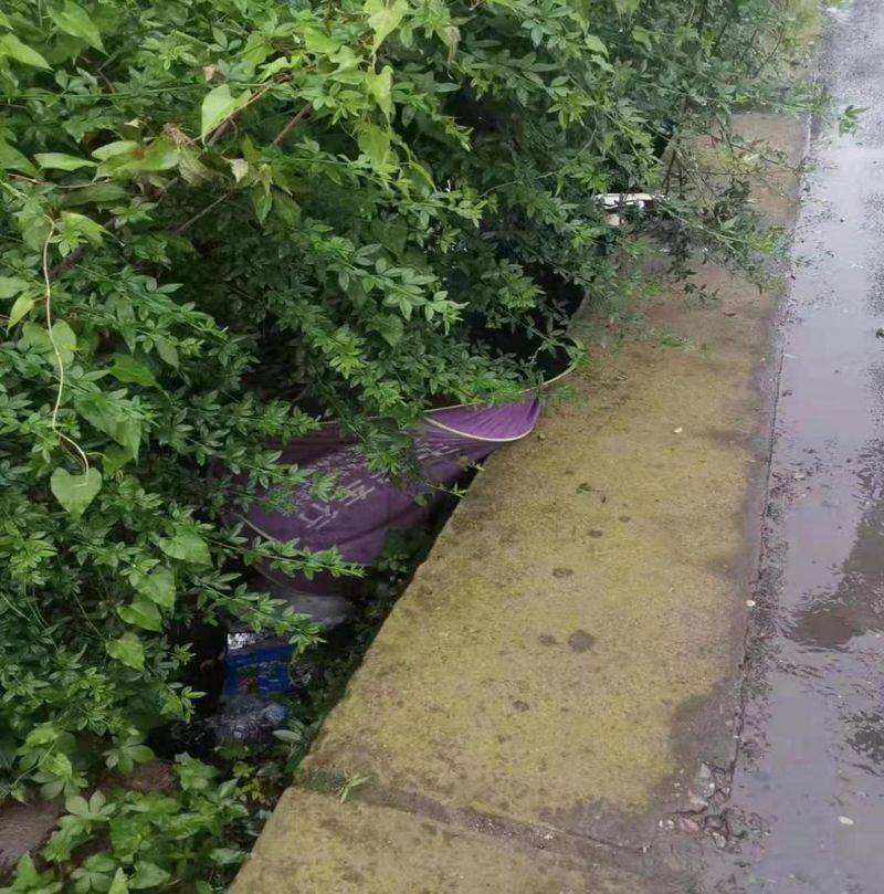 成都电瓶车报价