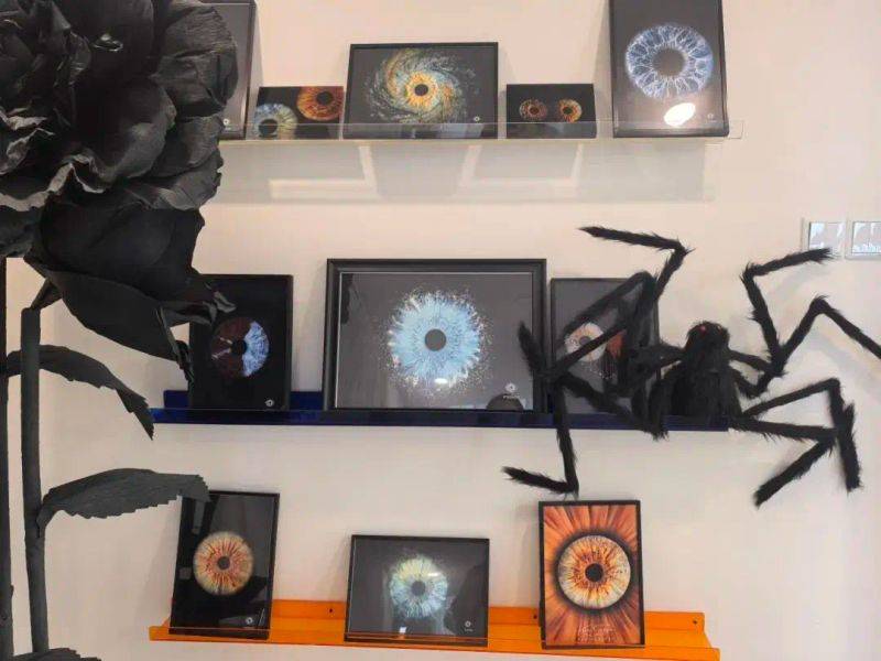 右视觉摄影写真多少钱