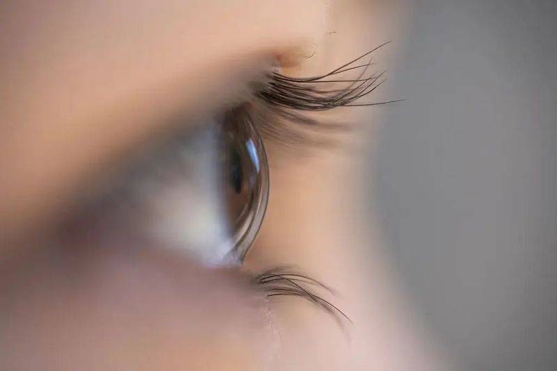 右视觉摄影写真多少钱