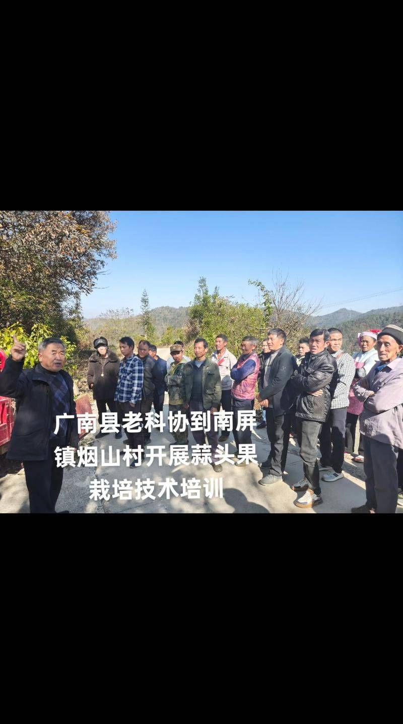 大蒜种植技术视频