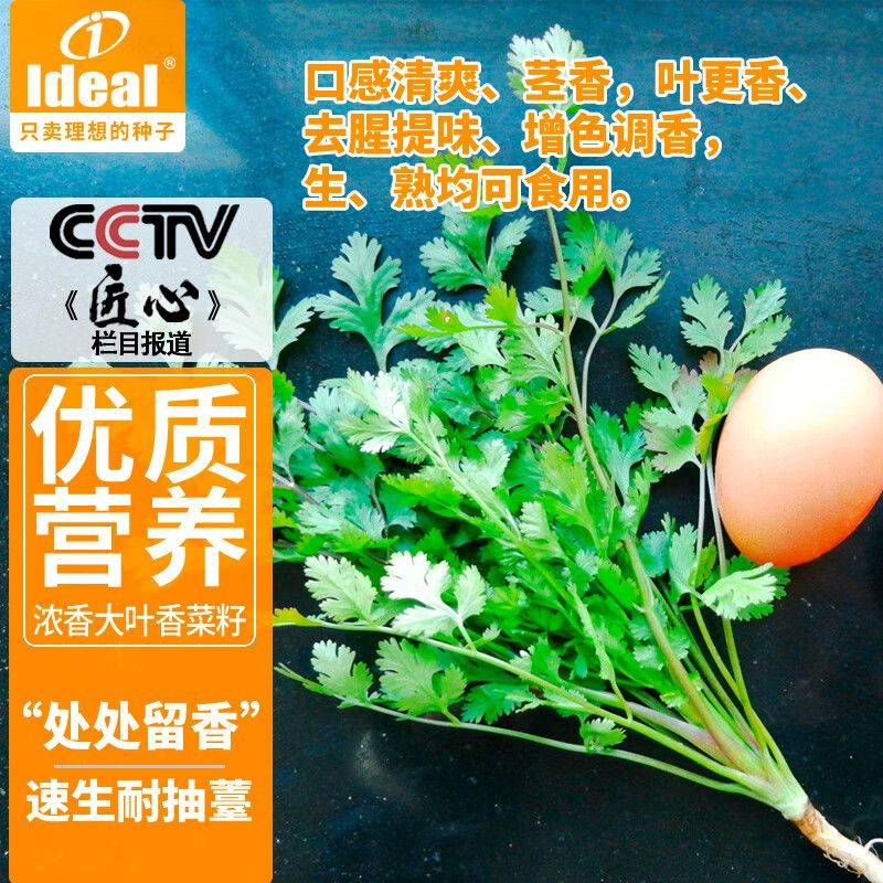 Video of the method of growing the cauliflower