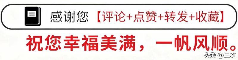 大棚草莓的种植技术