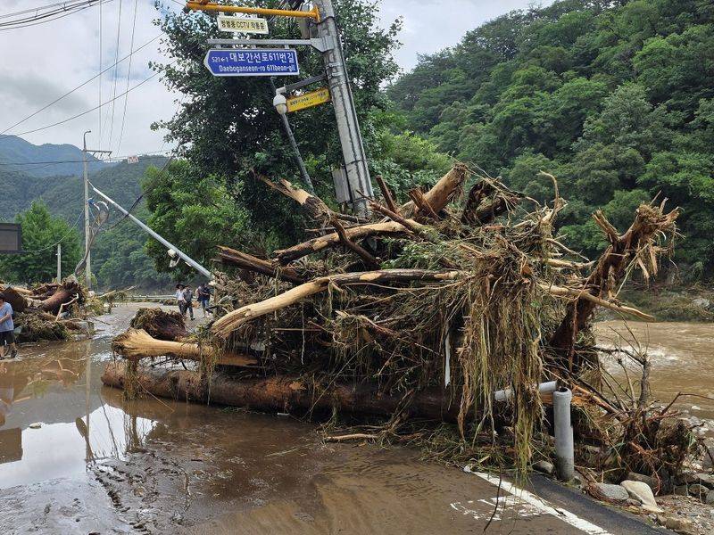全球海水温度分布规律