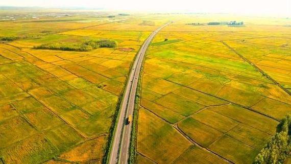 Watermelon planting techniques