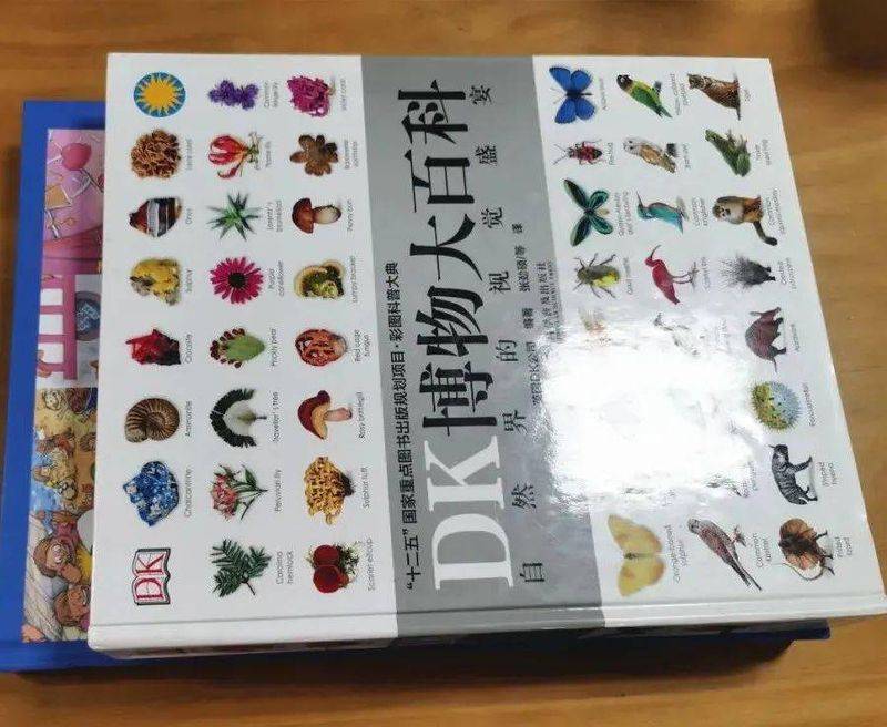 语文素养知识竞赛