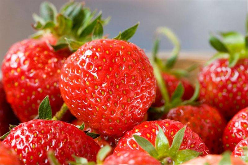 Grapes and strawberry cultivation methods