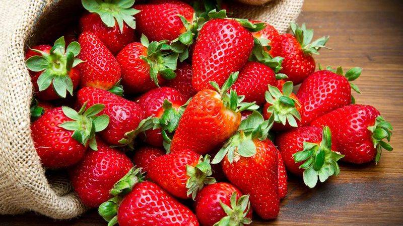 Grapes and strawberry cultivation methods