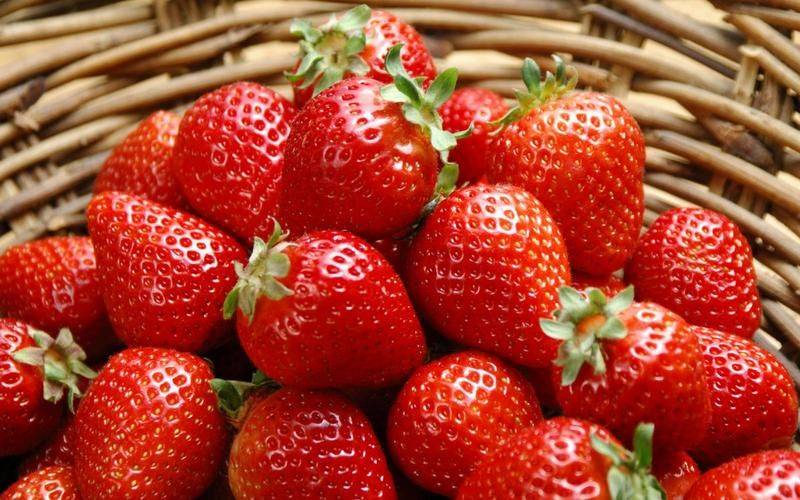 Grapes and strawberry cultivation methods