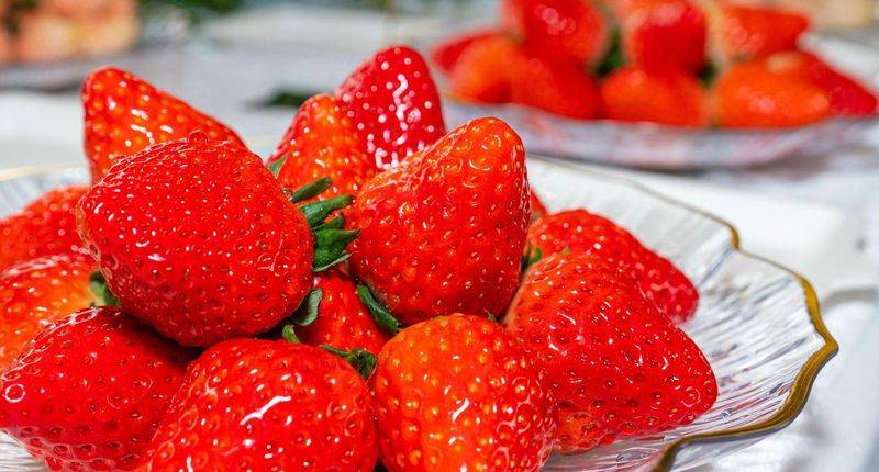 Grapes and strawberry cultivation methods
