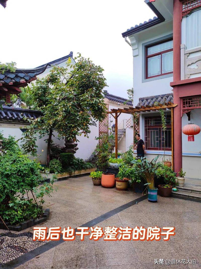 柿子树苗怎么种植方法