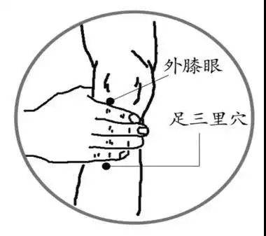 健康养生知识睡眠穴位