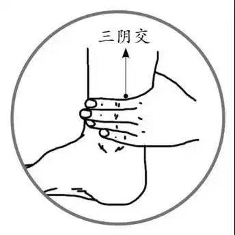 健康养生知识睡眠穴位