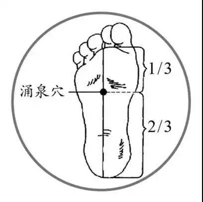 健康养生知识睡眠穴位