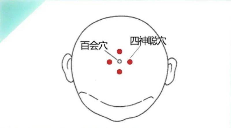 Healthy birthing knowledge slumber