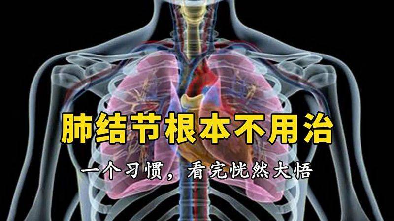 温室大棚种植蔬菜