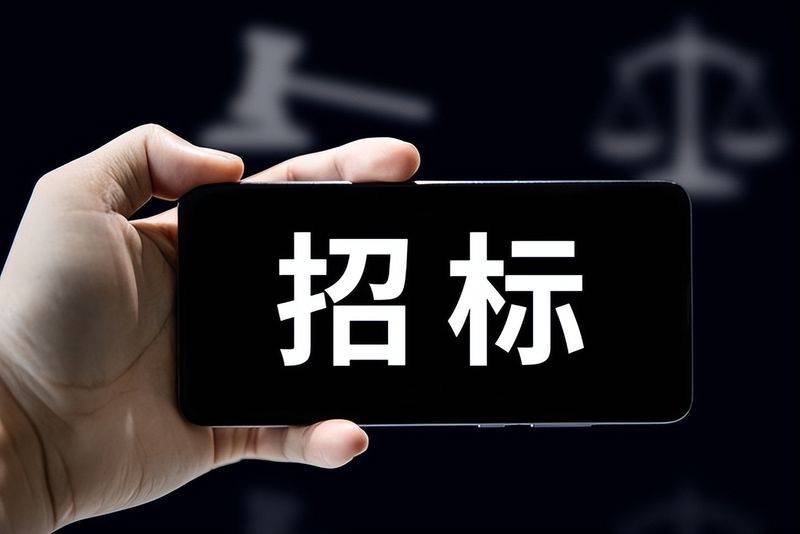 Tender website ranking