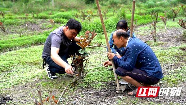 The method of cultivation