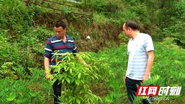 The method of cultivation