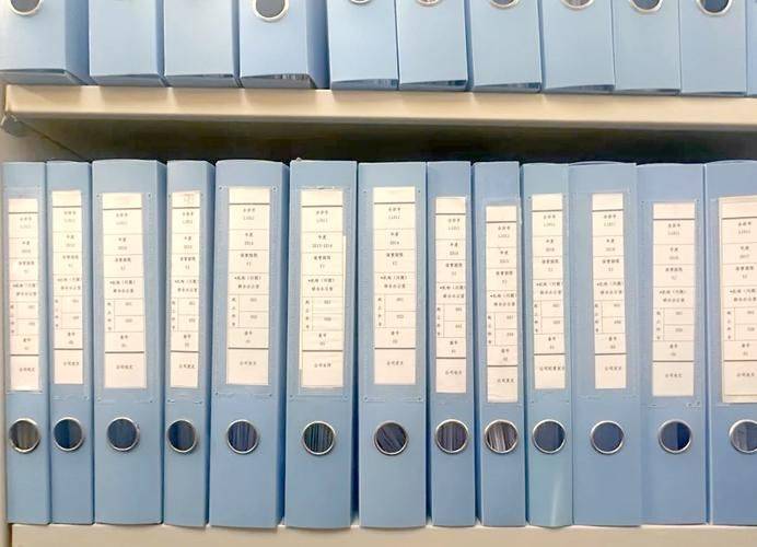 知识经济时代档案部门的生存与发展策略