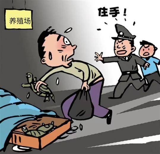 小学偷窃的成因及对策