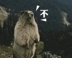 潍柴发动机曲轴专用维修工具说明书1