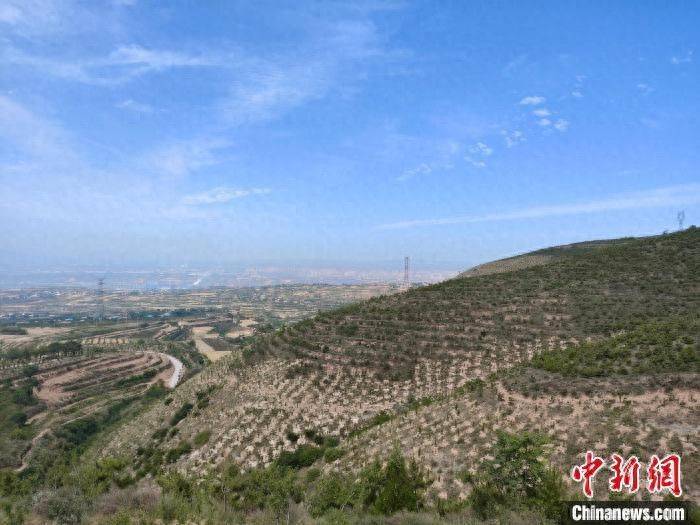 （高质量发展调研行）留下“富民之水” “小”柿子如何带动“大”产业？