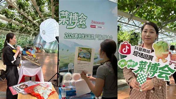 蔬菜 瓜果种植技术