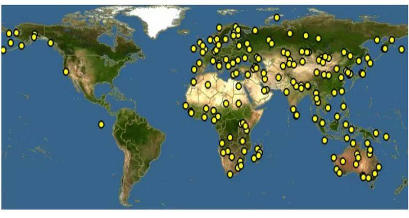 杜鹃花的种植方法