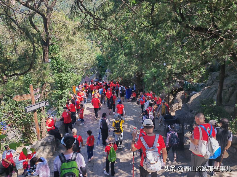 泰山门票多少钱一张
