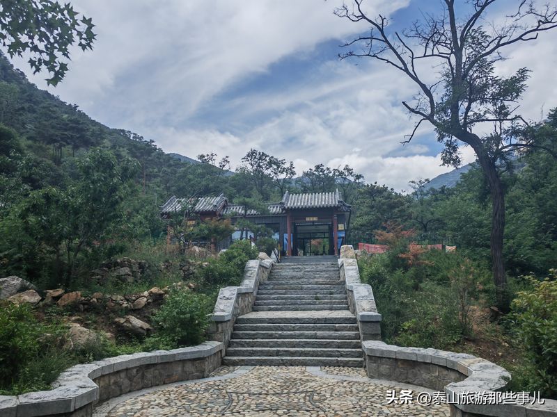 泰山门票多少钱一张
