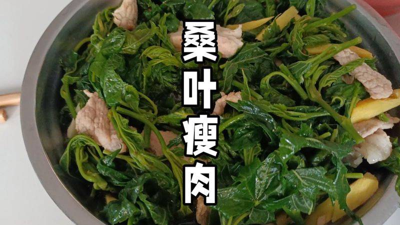 桑树种植技术要点