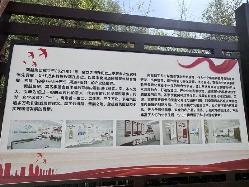 巴马香猪一只多少钱