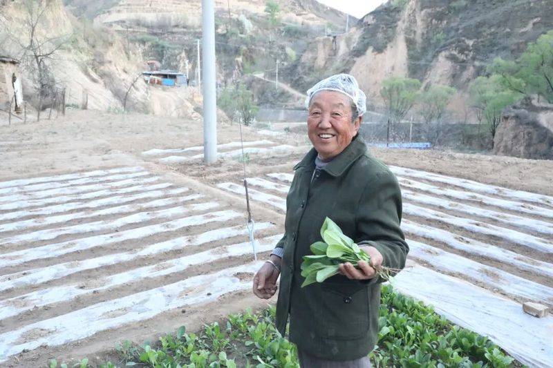 蔬菜 瓜果种植技术
