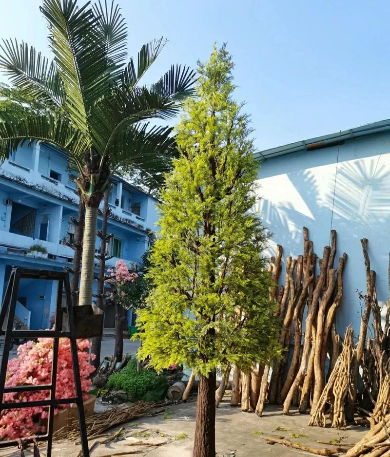 桑树种植技术要点