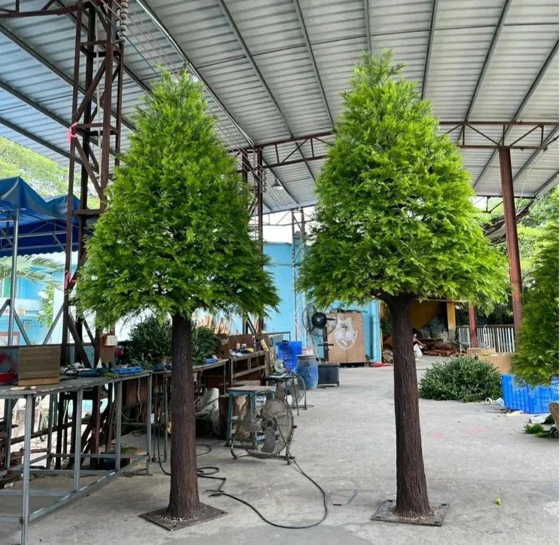 桑树种植技术要点
