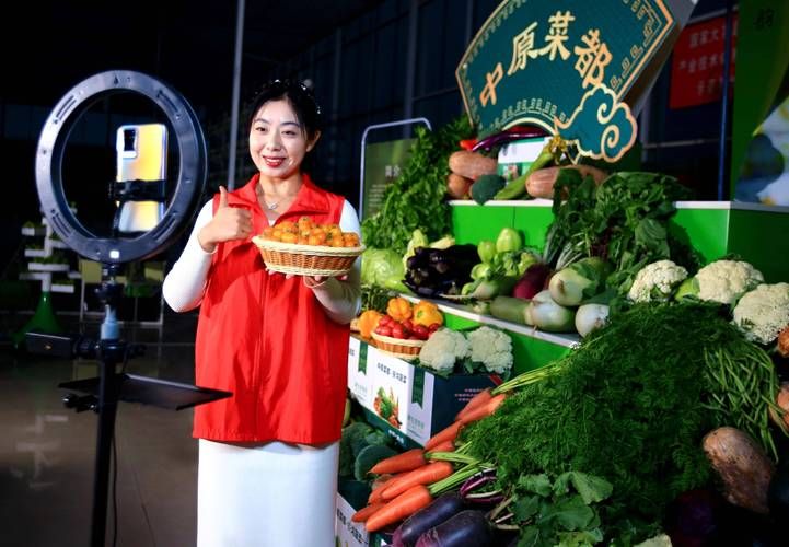 蔬菜 瓜果种植技术