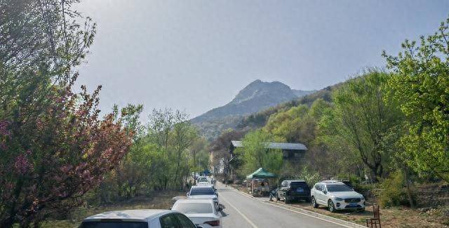 泰山门票多少钱一张