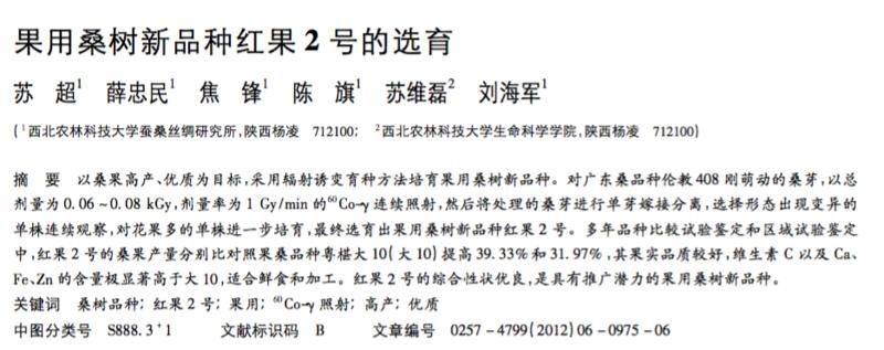 桑树种植技术要点
