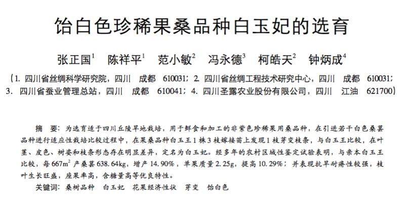 桑树种植技术要点