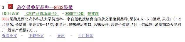 桑树种植技术要点